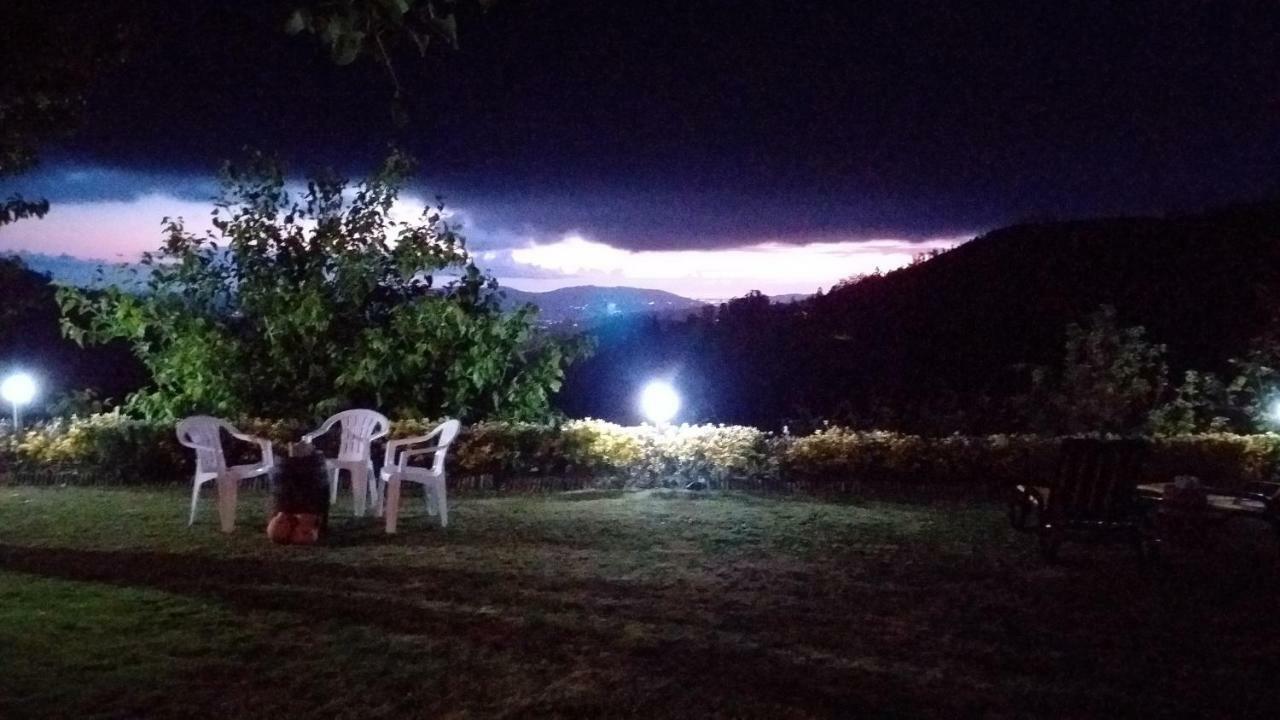 Villa Casa Da Boa Vista Em Viadal Vale de Cambra Exterior foto