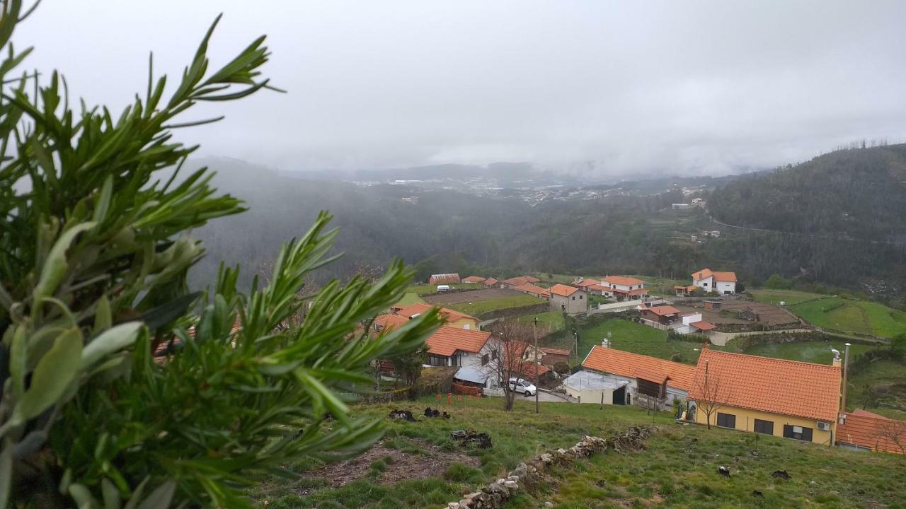 Villa Casa Da Boa Vista Em Viadal Vale de Cambra Exterior foto